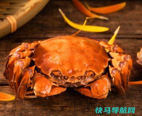 冻梭子蟹怎么分辨坏没坏？梭子蟹的美味吃法