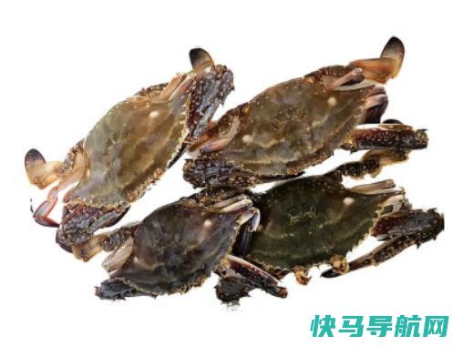 网上买梭子蟹是活的还是死的？梭子蟹在网上买还是市场买